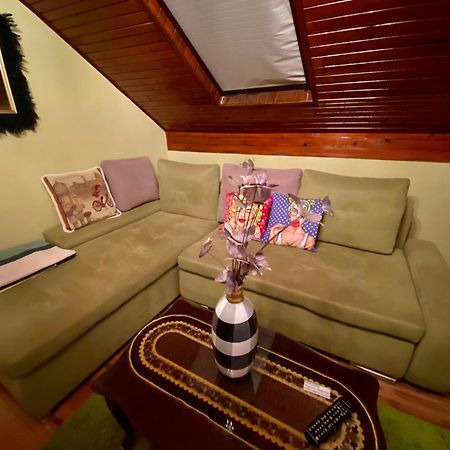 Villa Miris Dunja Zlatibor Dış mekan fotoğraf