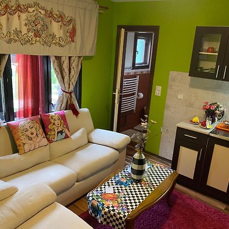 Villa Miris Dunja Zlatibor Dış mekan fotoğraf