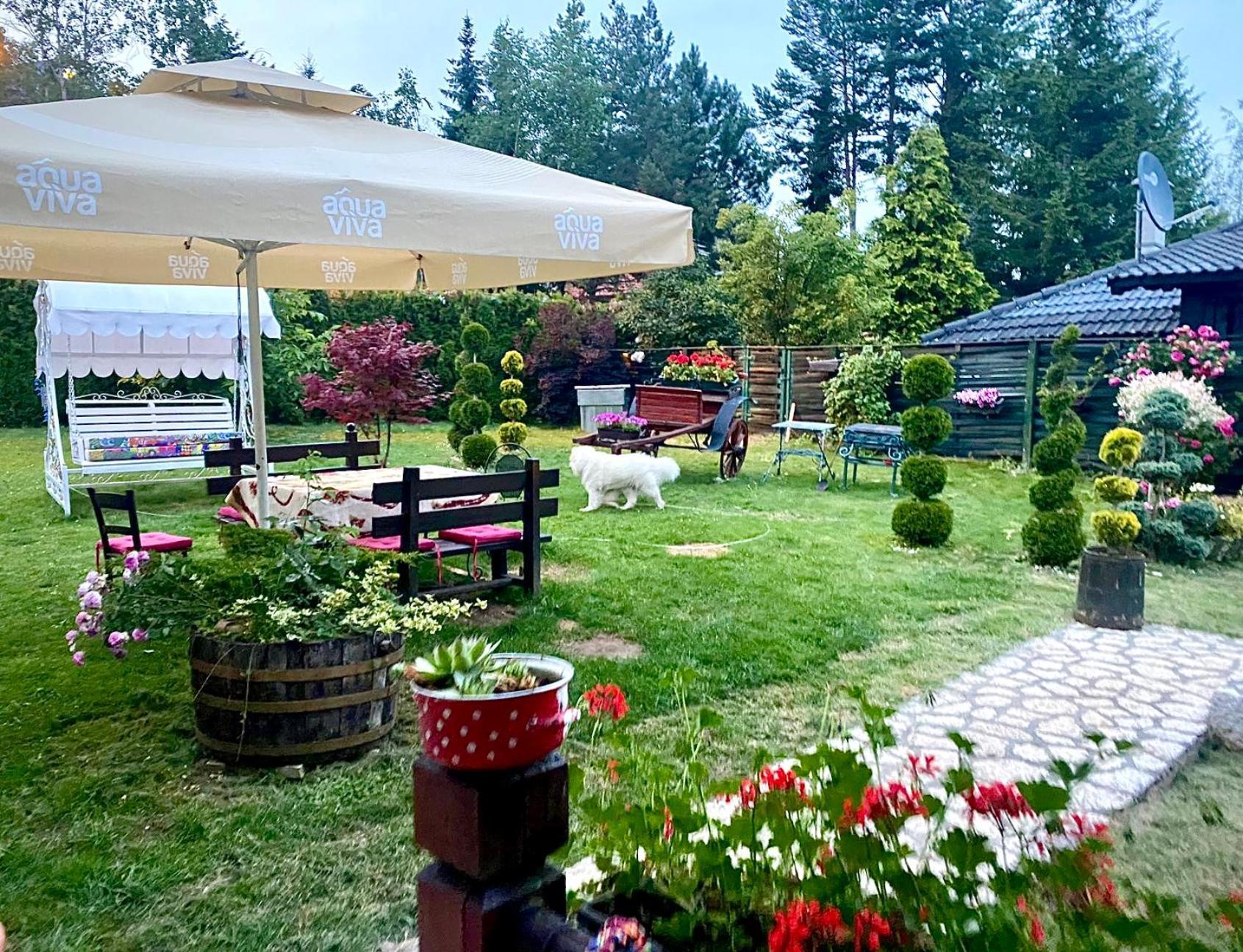 Villa Miris Dunja Zlatibor Dış mekan fotoğraf