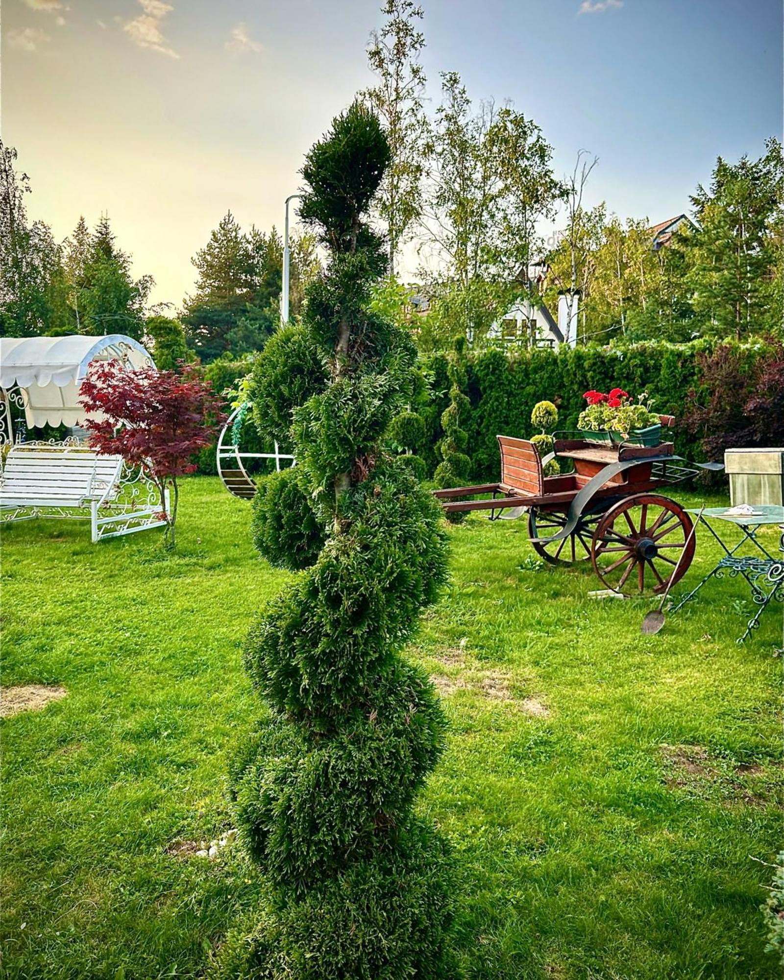 Villa Miris Dunja Zlatibor Dış mekan fotoğraf