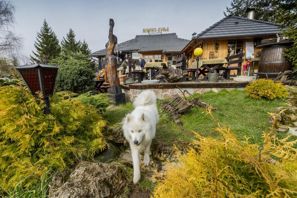 Villa Miris Dunja Zlatibor Dış mekan fotoğraf